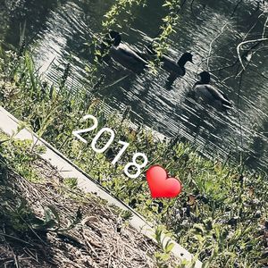 Meet your Posher, Logan